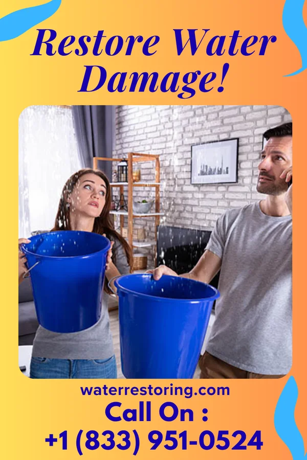 water restoration Vanguard Drying Masters Lowgap